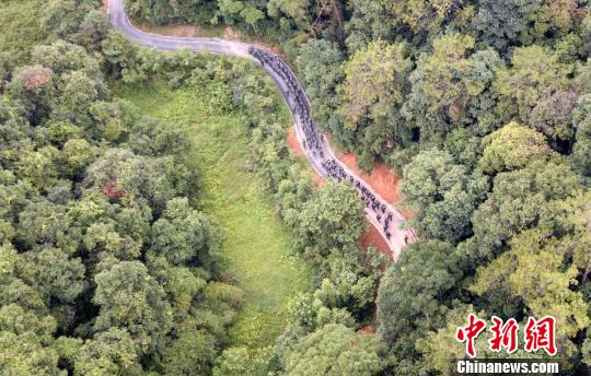 圖為來自武警福建總隊三明、龍巖、南平支隊100余名特戰(zhàn)隊員在福建省三明市永安?揲瞪嬌?展特戰(zhàn)極限練習。　羅武 攝